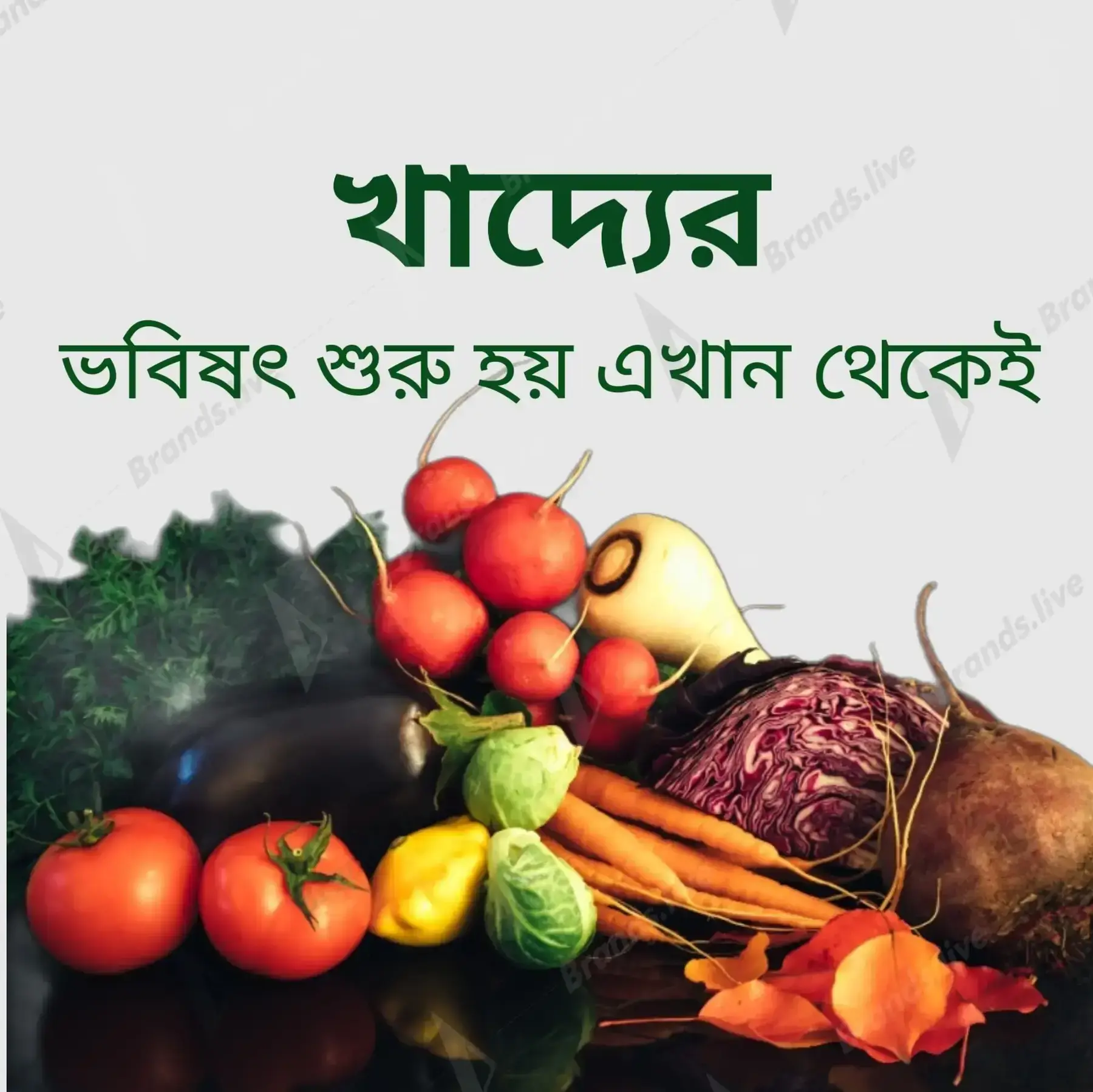 Main Banner Image 1
